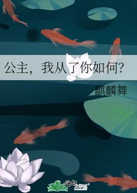 公主，我从了你如何？
