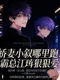 娇妻小叙哪里跑！霸总江珩狠狠爱